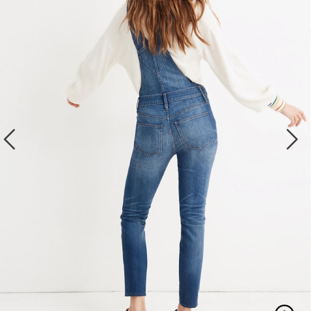 Madewell Skinny Overalls in Jansing Wash - Picture 14 of 16